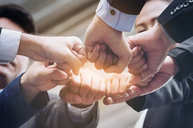 Unser Know-how ist Ihr Profit Sechs Fäuste stoßen zum Kreis zusammen